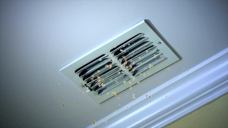 Best Air Duct Cleaning Near Me  in Wormleysburg, PA