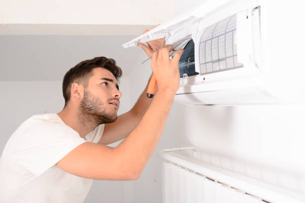 Best Air Duct Mold Removal  in Wormleysburg, PA